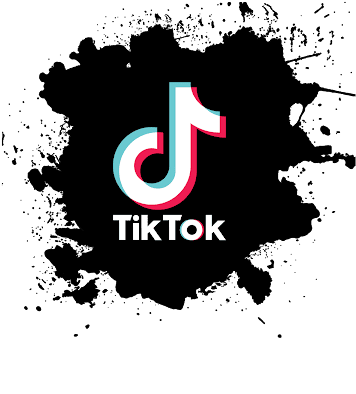 TikTok Downloader
